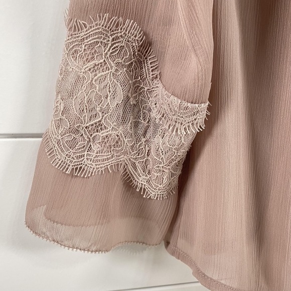 Soft Surroundings Shirt Womens Medium Mauve Pink Lace Pleated Sheer Blouse Top - Picture 2 of 15